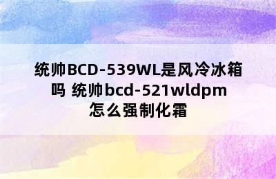 统帅BCD-539WL是风冷冰箱吗 统帅bcd-521wldpm怎么强制化霜